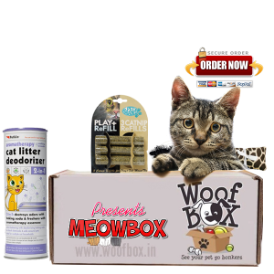 MeowBox - India's first Box of Goodness for Cats
