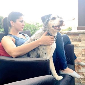 Sunny Leone - 8 Celebrities Who Love To Pamper Their Pooch