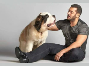 Salman with his dog