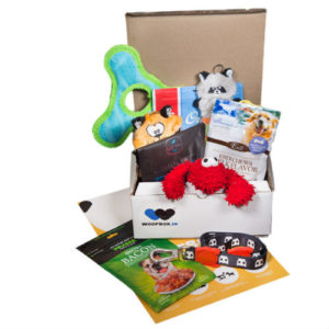 WoofBox Featured Image