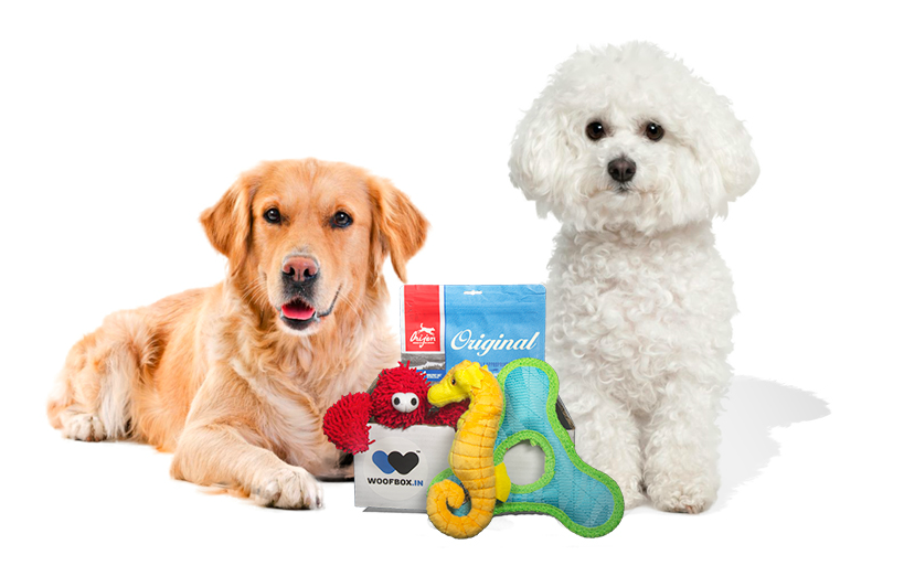 for eyes watery solution Toys, Dog Online WoofBox Accessories Dog in Dog   a Food,