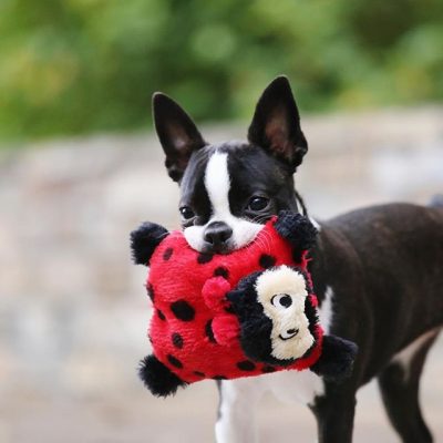 LadyBug Plush Dog Toy -Featuring @petitepokey