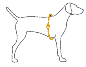 Use this fit guide to select the appropriate size for your dog. Measurement is around the widest part of the rib cage