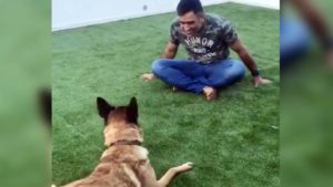 Dhoni Dog -Dhoni Playing with Dog
