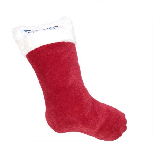 Christmas Socks Squeak Toy