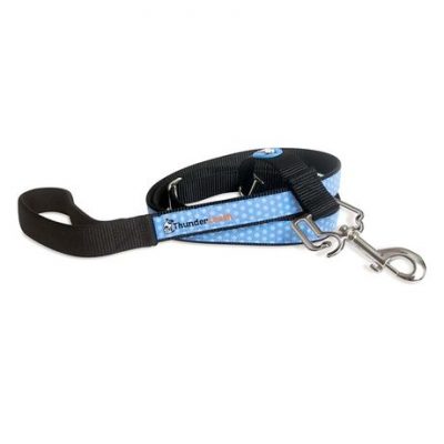 ThunderLeash, A Simple No-Pull Solution for Your Dog!