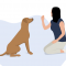 Dog Training- The ultimate guide