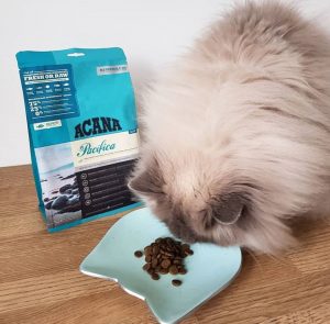 Acana Pacifica Dry Cat Food | MeowBox