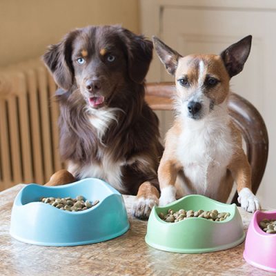 Beco Dog Bowls |WoofBox