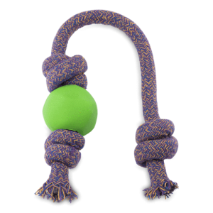 Beco Rope Jungle Ring Toy for Dogs Green | WoofBox
