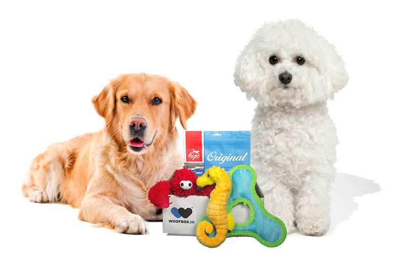 Birthday gifts for dogs in a woofbox