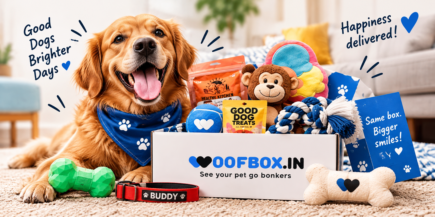 WoofBox - See your pet go bonkers